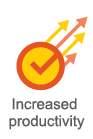 Arrow Icon